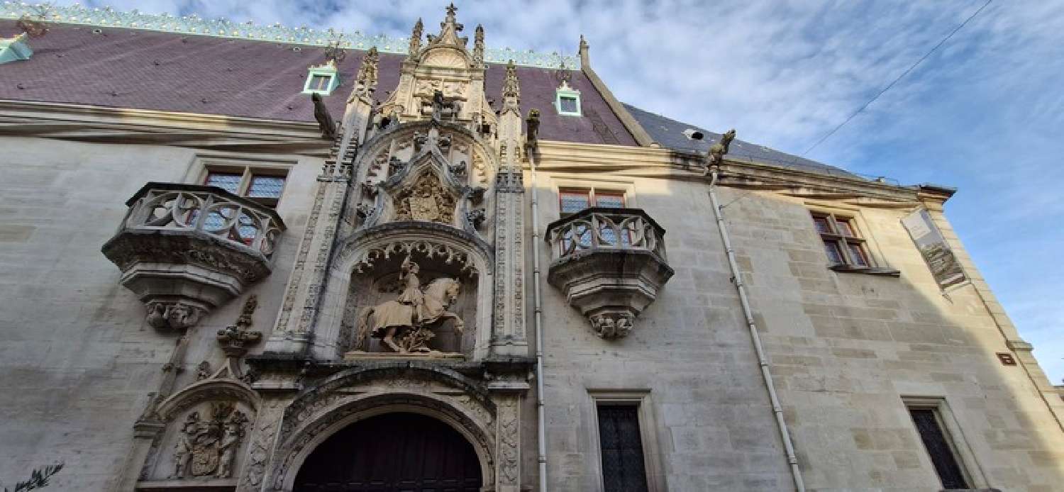 à vendre appartement Nancy Meurthe-et-Moselle 6