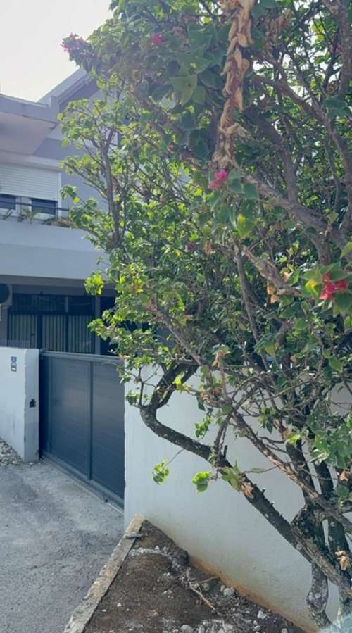 Pointe-à-Pitre Guadeloupe appartement foto 7378208