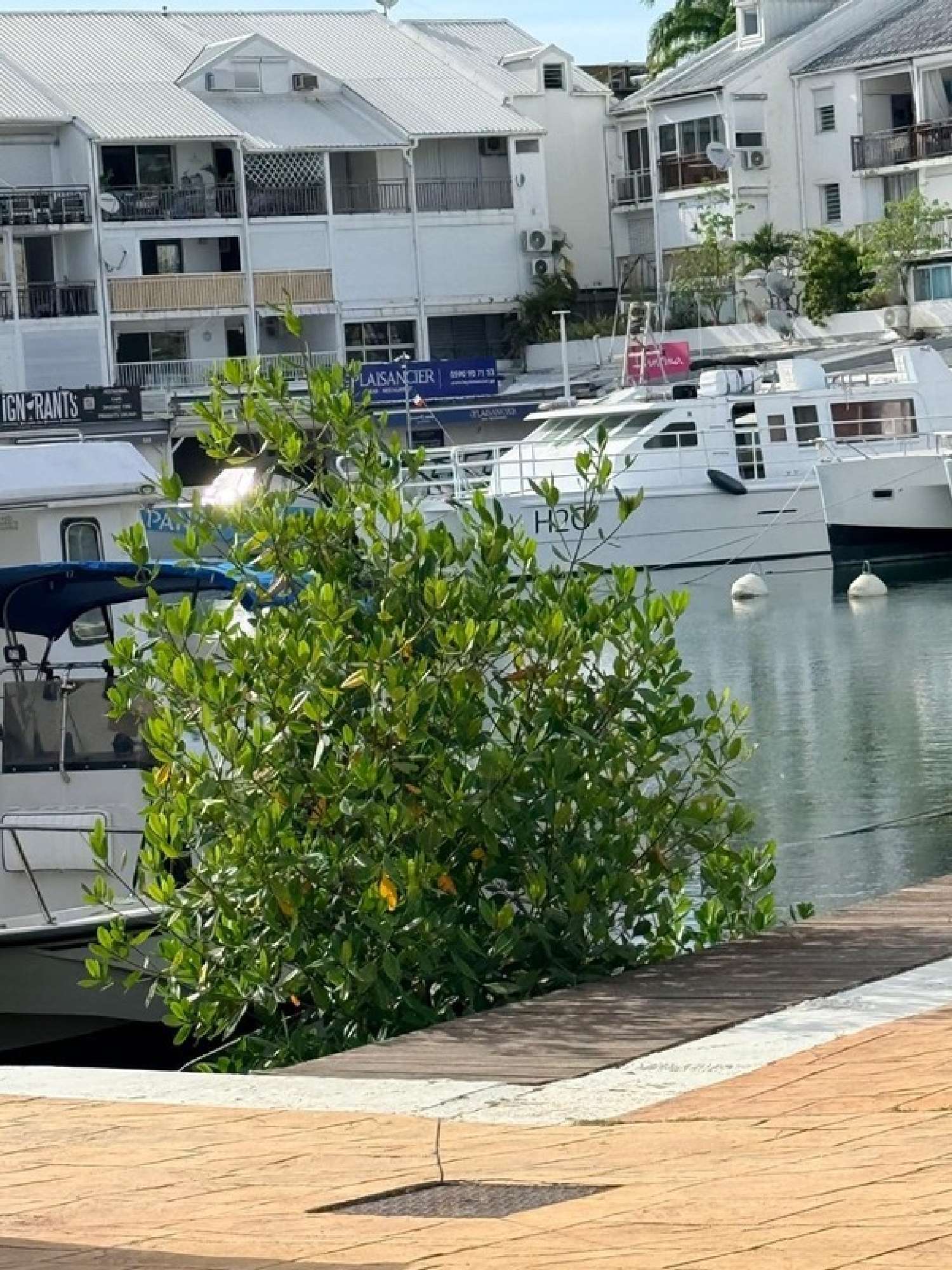  à vendre appartement Pointe-à-Pitre Guadeloupe 3