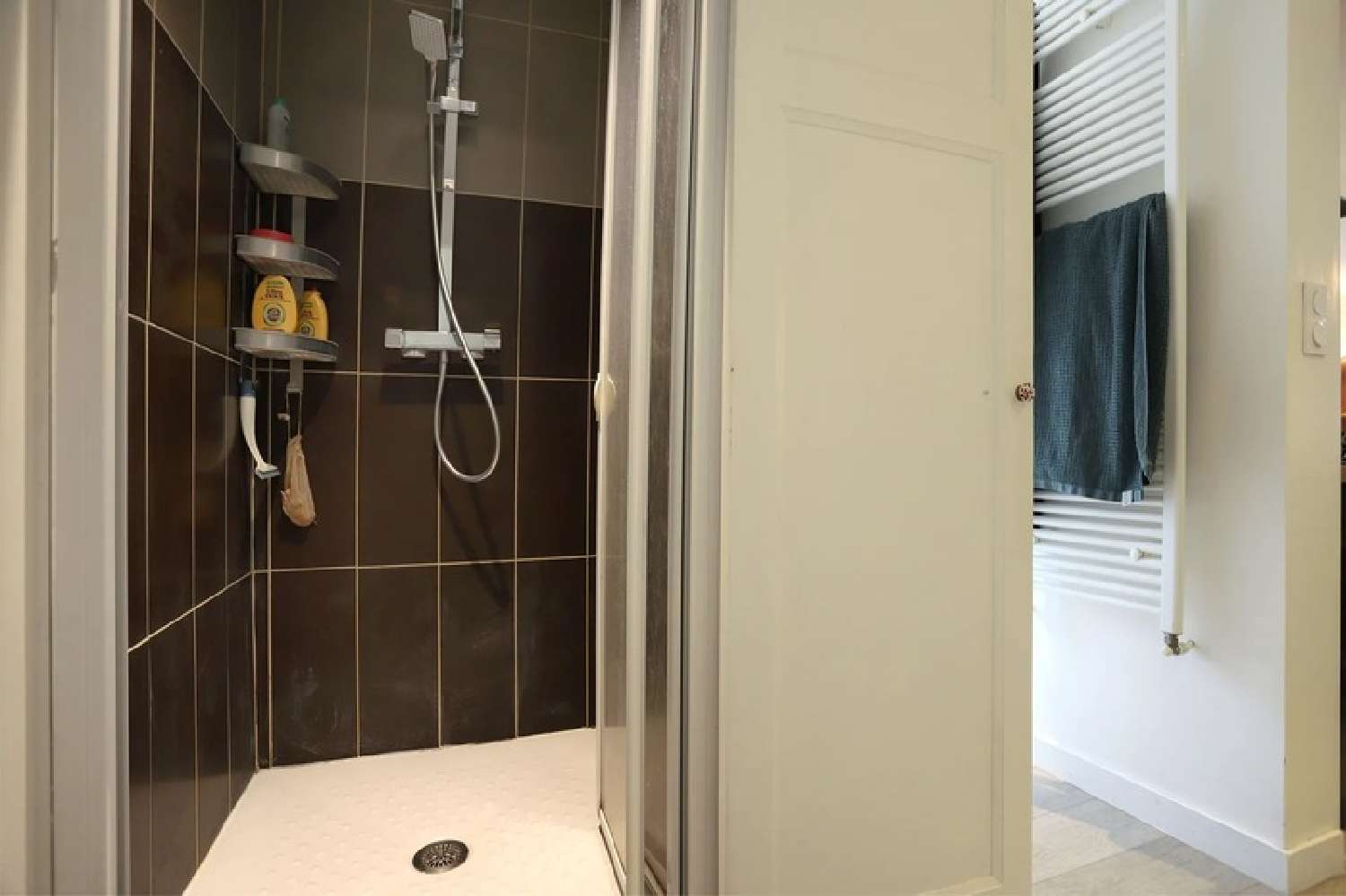 te koop appartement Rennes Ille-et-Vilaine 7