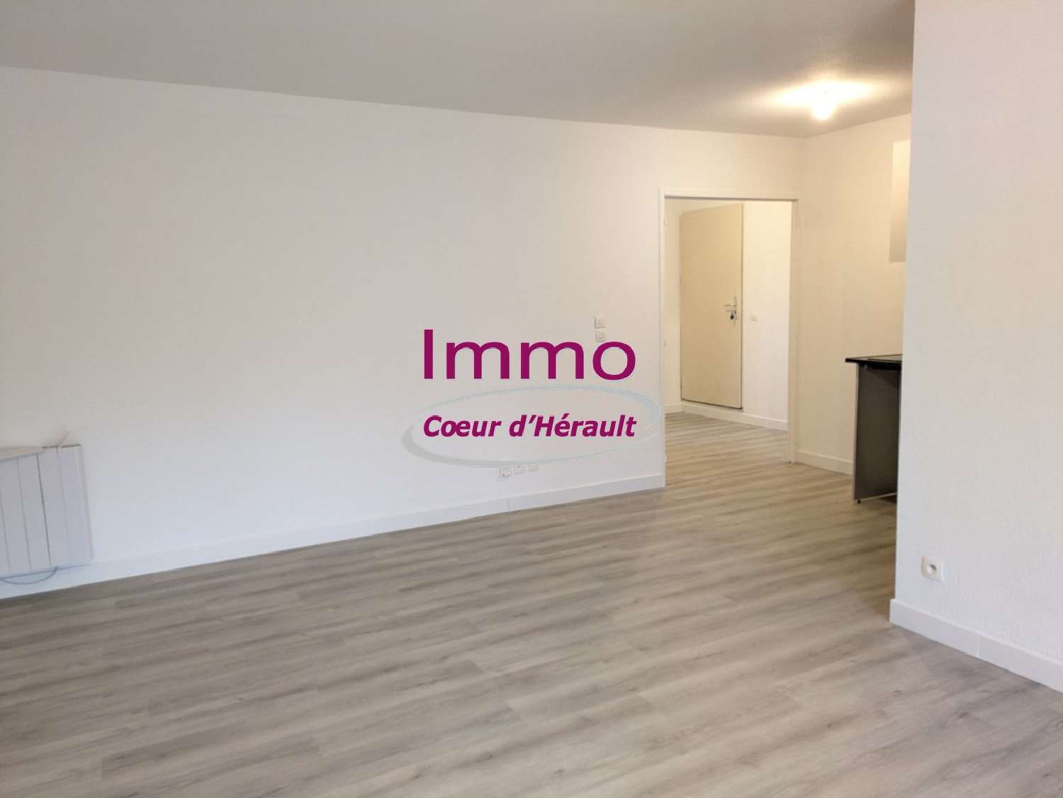 à vendre appartement Saint-André-de-Sangonis Hérault 6