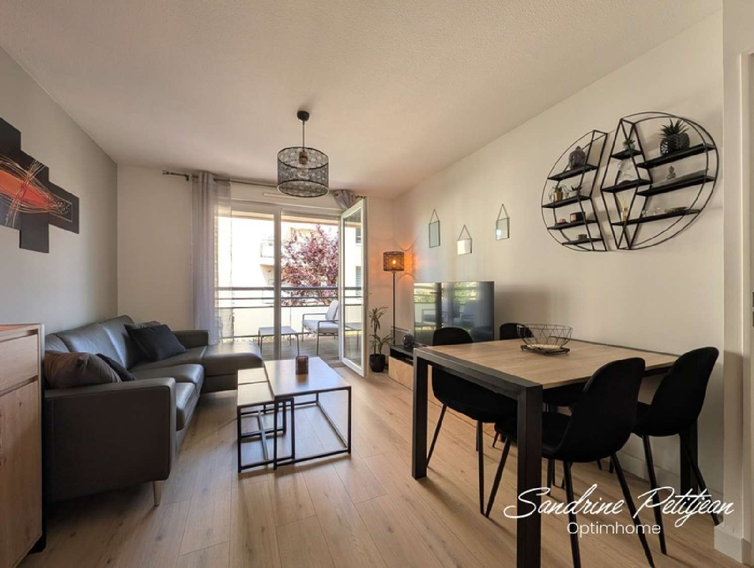  à vendre appartement Saint-André-de-Corcy Ain 1