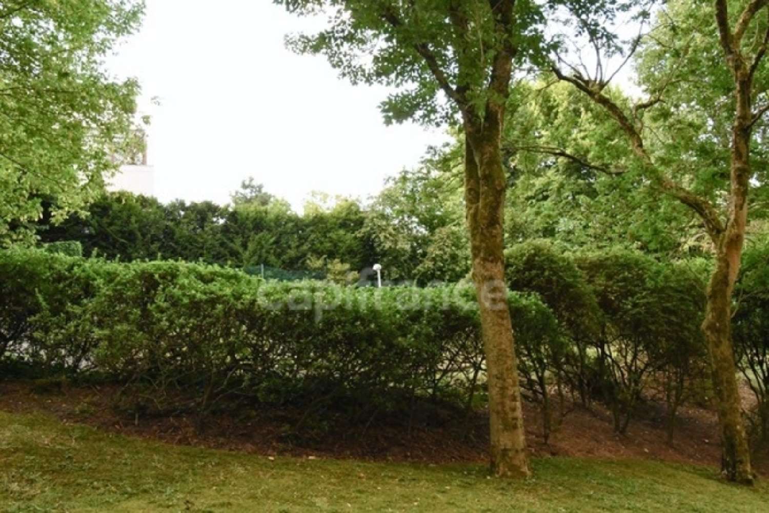 te koop appartement Saint-Cloud Hauts-de-Seine 8