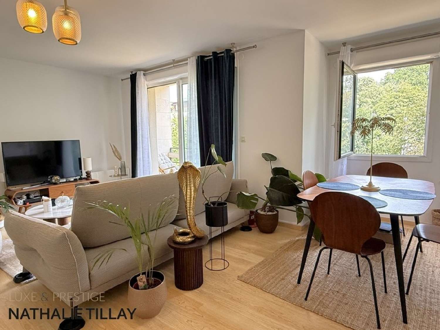 à vendre appartement Saint-Jean-de-Braye Loiret 2