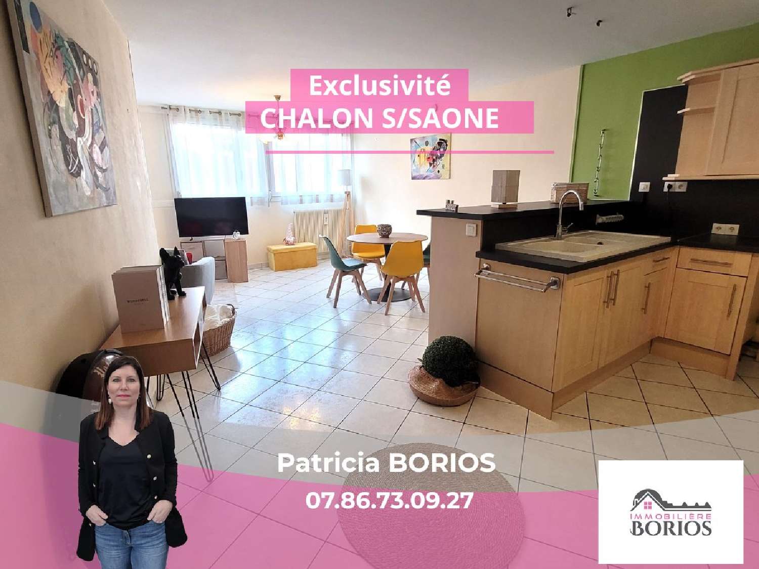 te koop appartement Saint-Rémy Saône-et-Loire 1