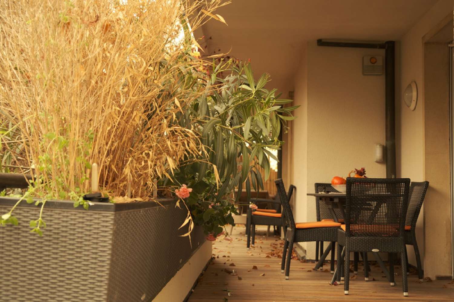  for sale apartment Strasbourg Bas-Rhin 6