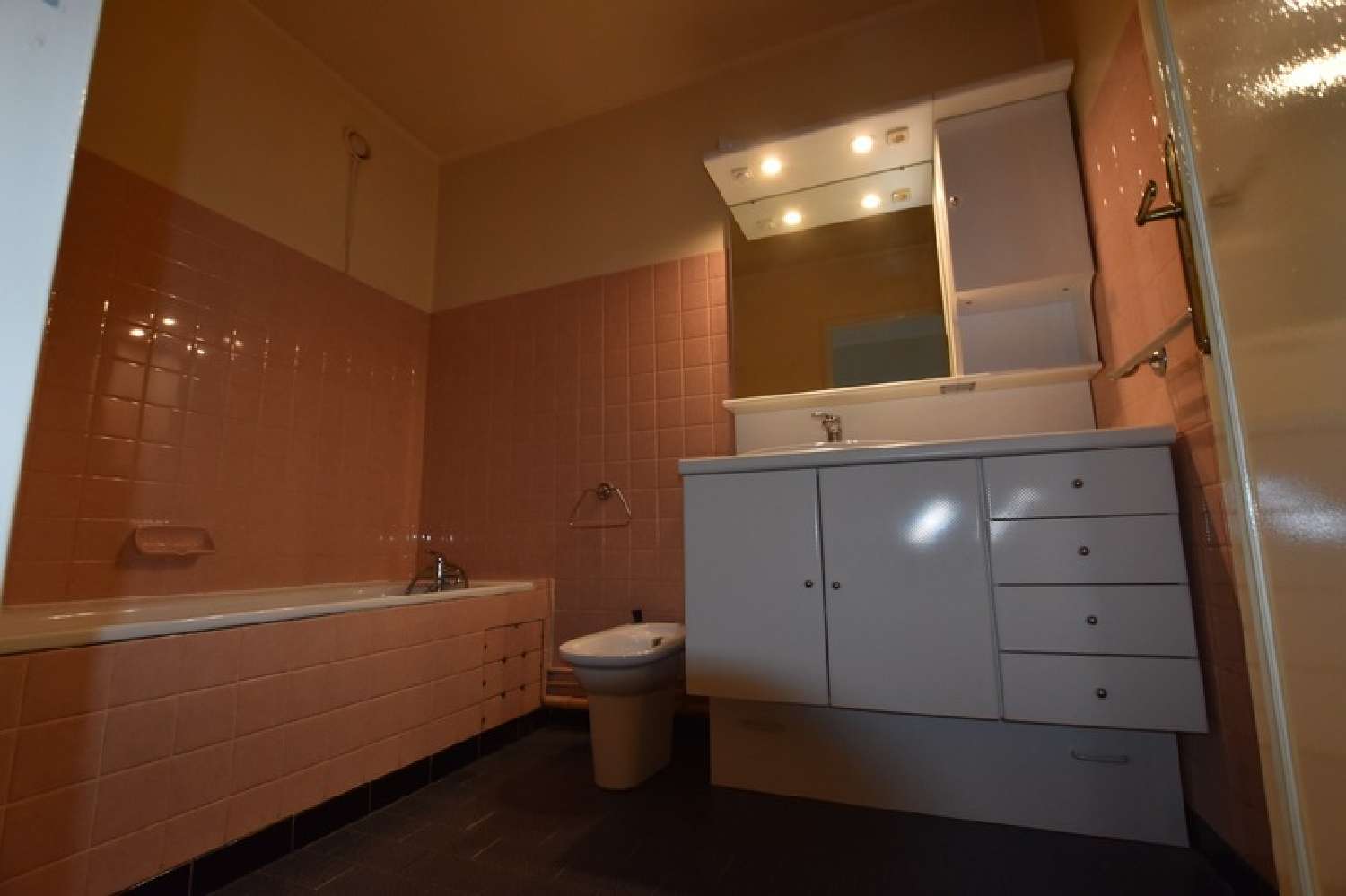 en venta apartamento Terrenoire Loire 7