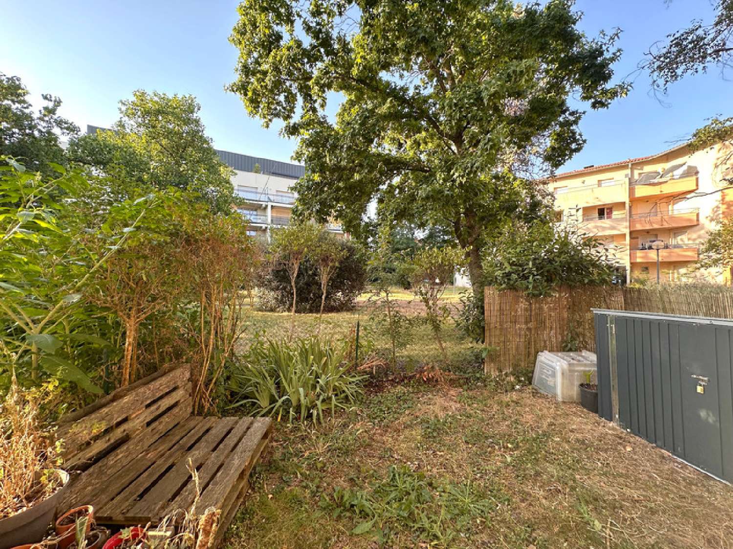 for sale apartment Toulouse 31200 Haute-Garonne 1