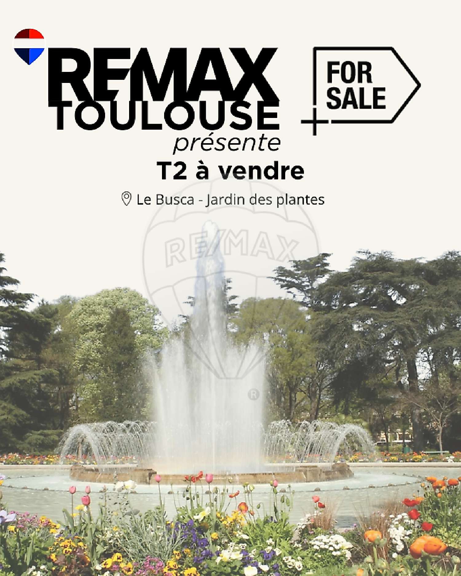 te koop appartement Toulouse 31400 Haute-Garonne 1
