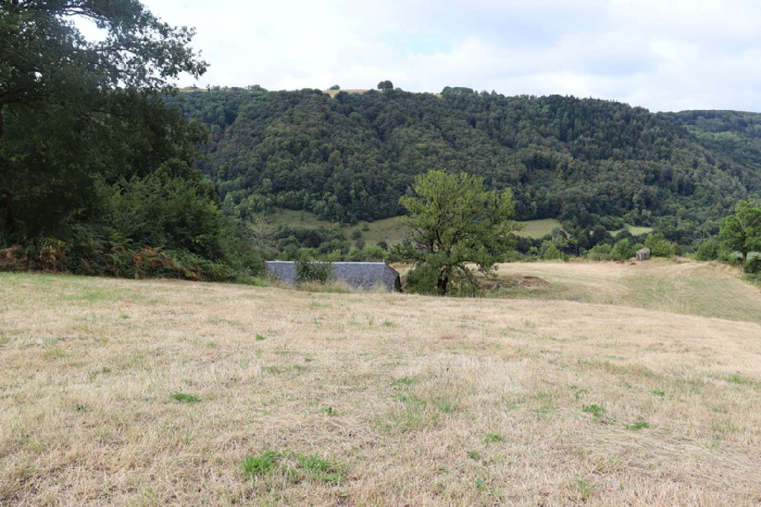 for sale barn Saint-Projet-de-Salers Cantal 8