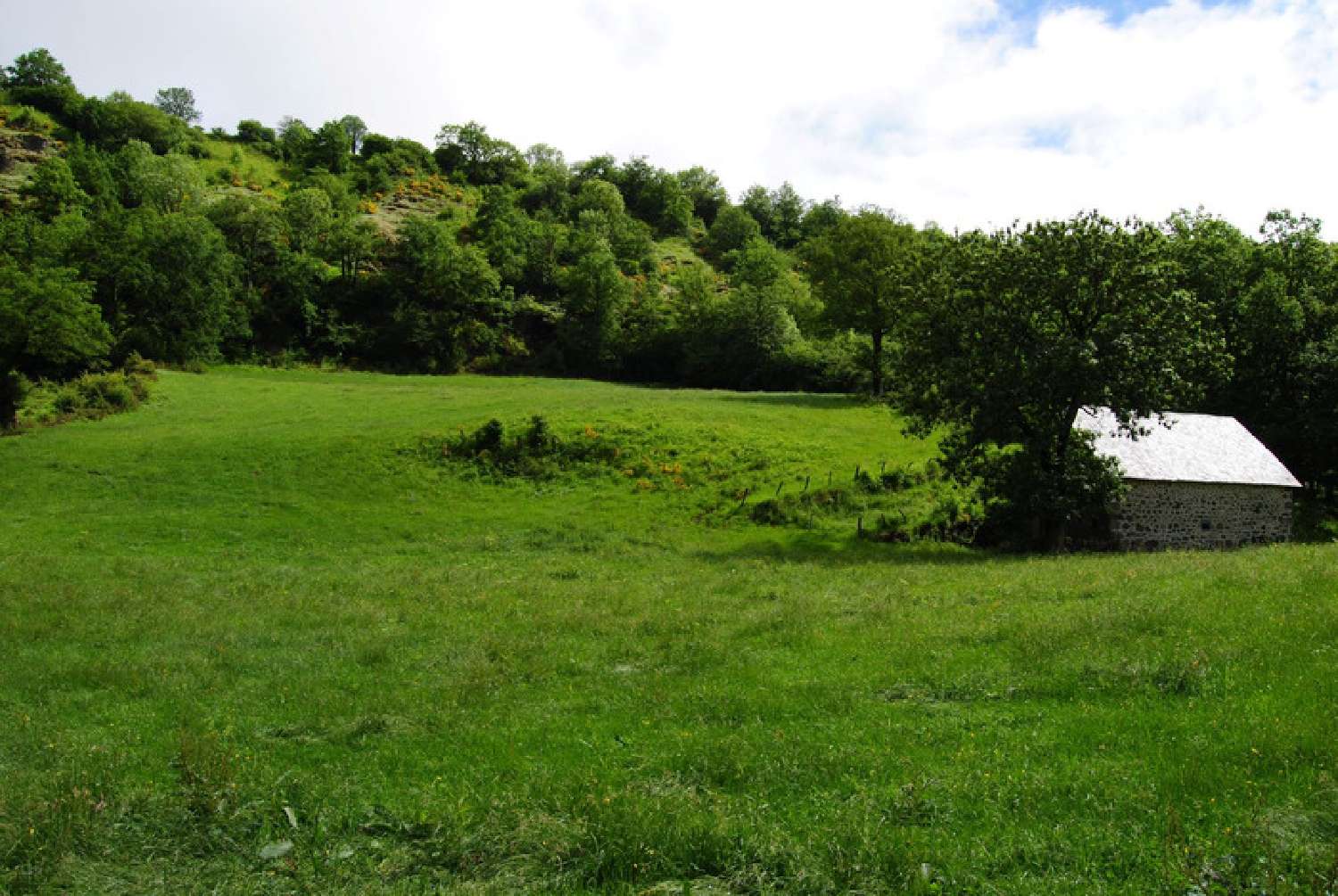 for sale barn Saint-Projet-de-Salers Cantal 6