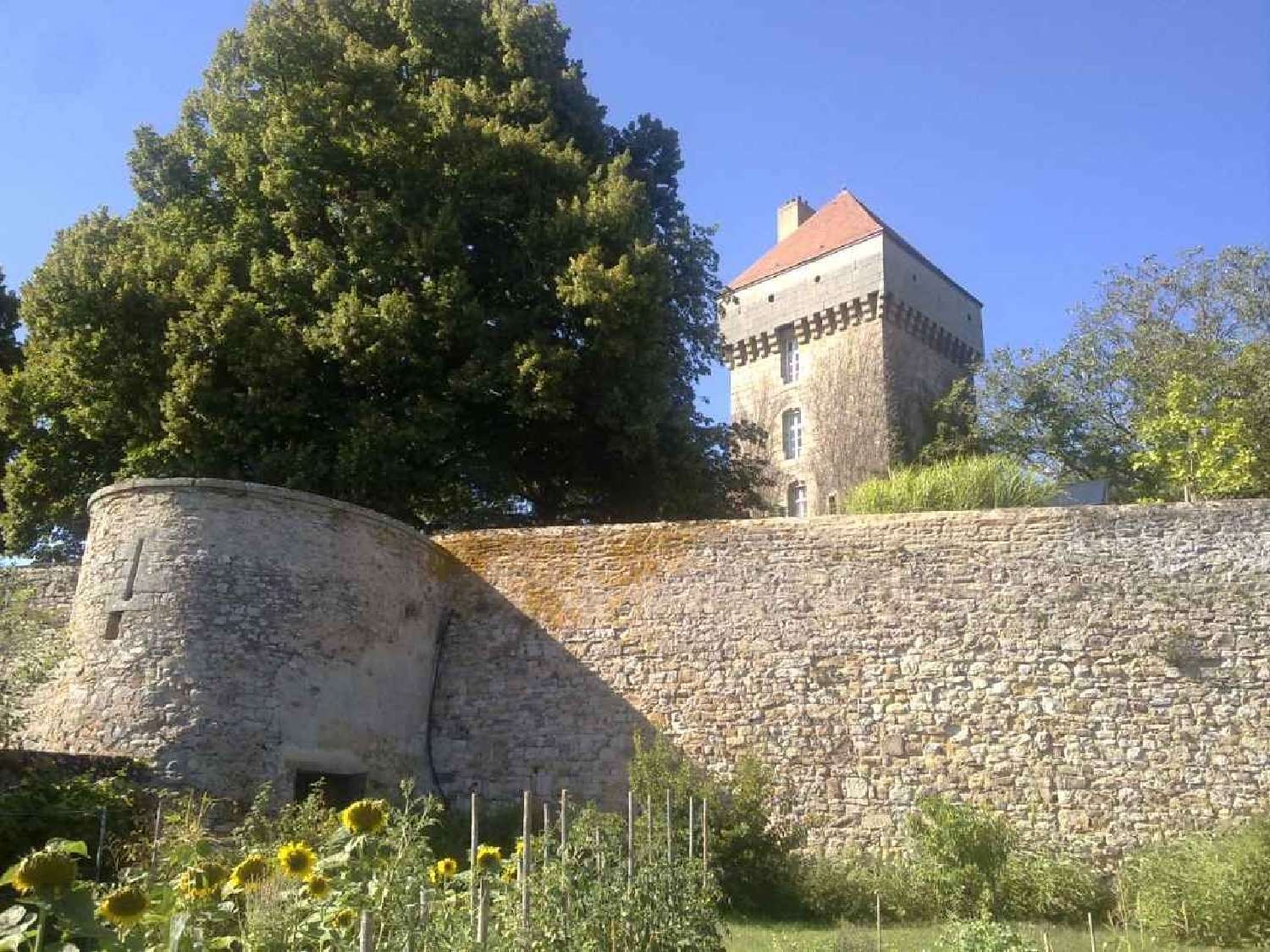 à vendre château Dijon Côte-d'Or 4