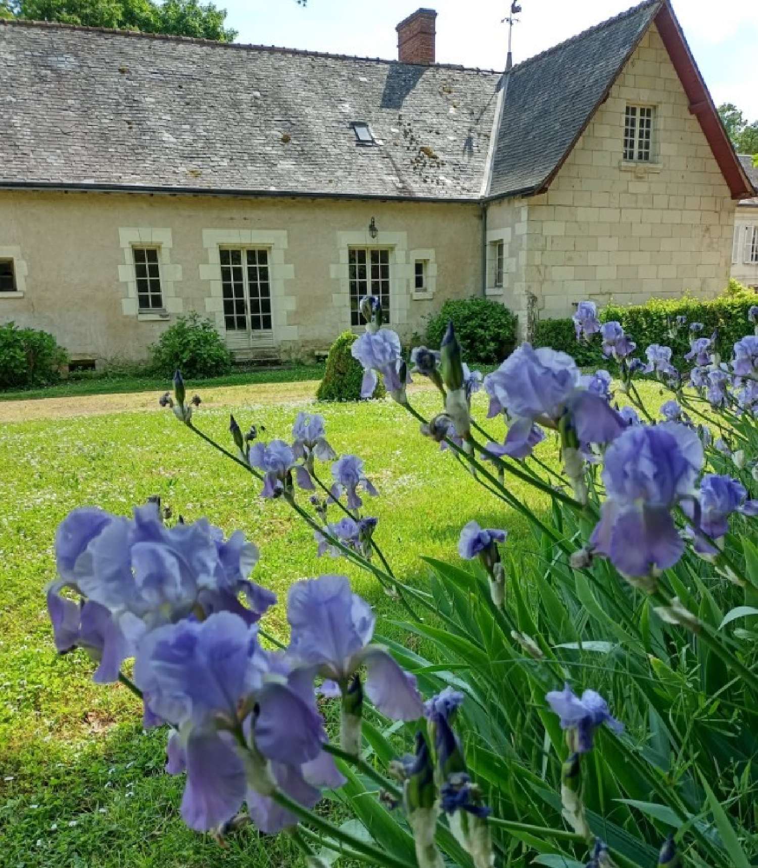  à vendre château Tours Indre-et-Loire 7