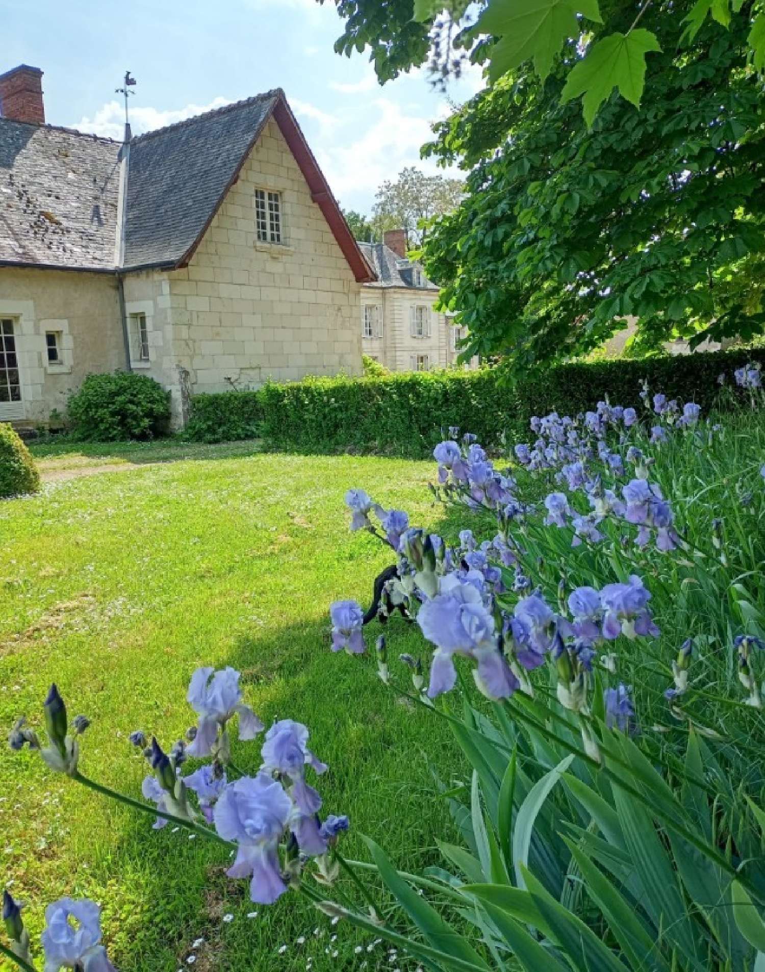  à vendre château Tours Indre-et-Loire 8