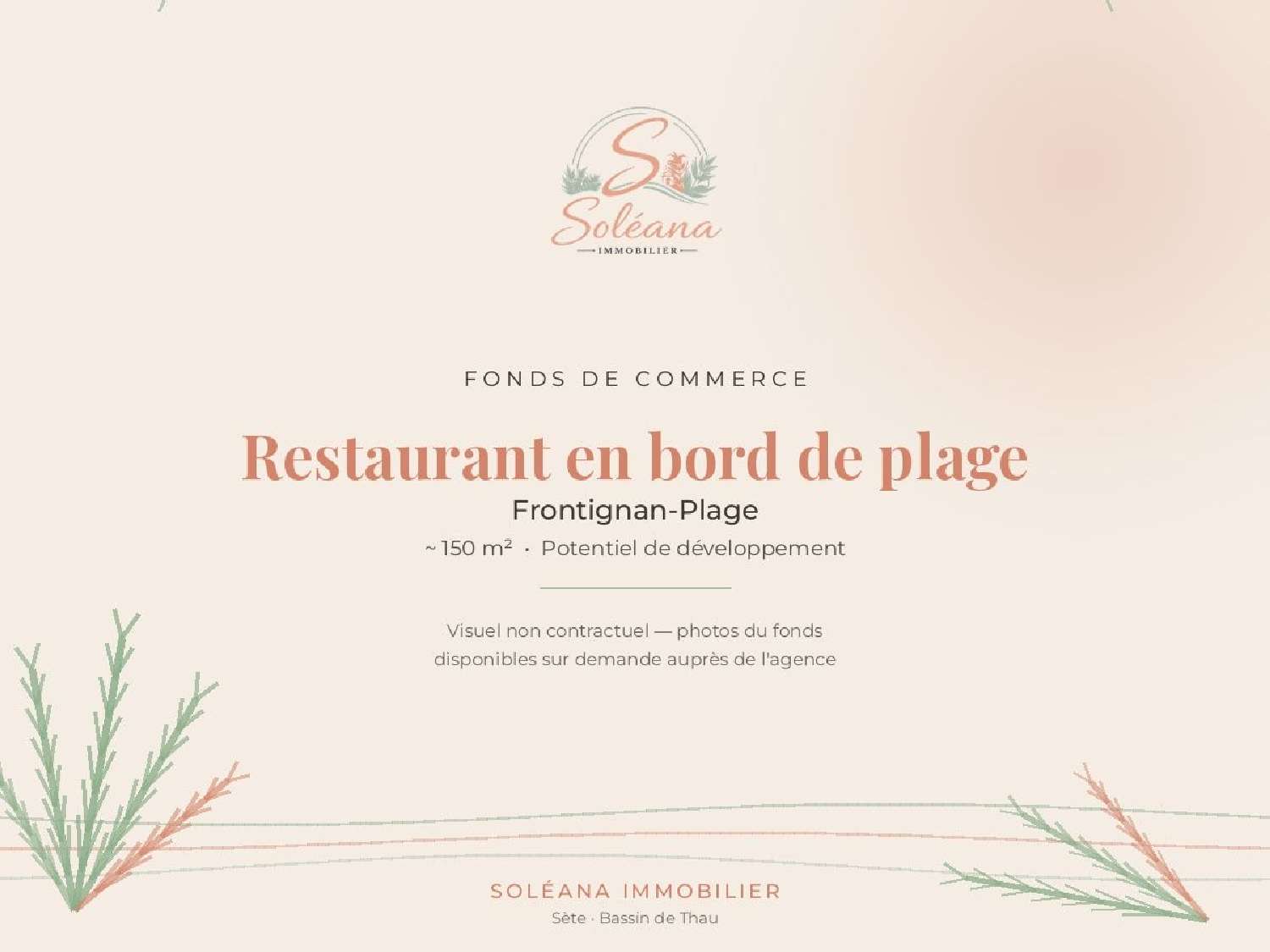  te koop bedrijfsruimte/ kantoor Frontignan Hérault 1