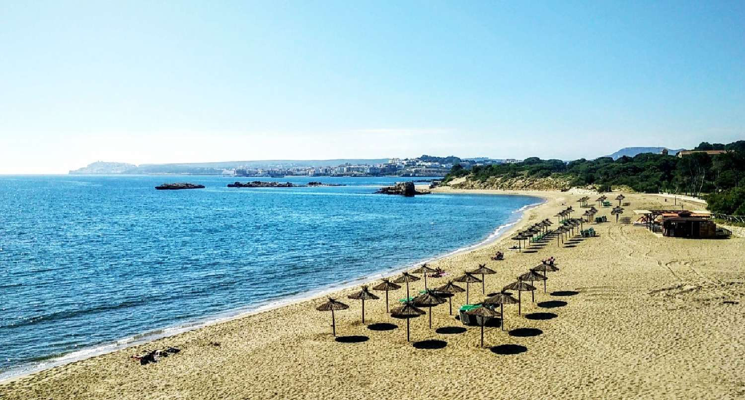 for sale commercial Le Grau-du-Roi Gard 5