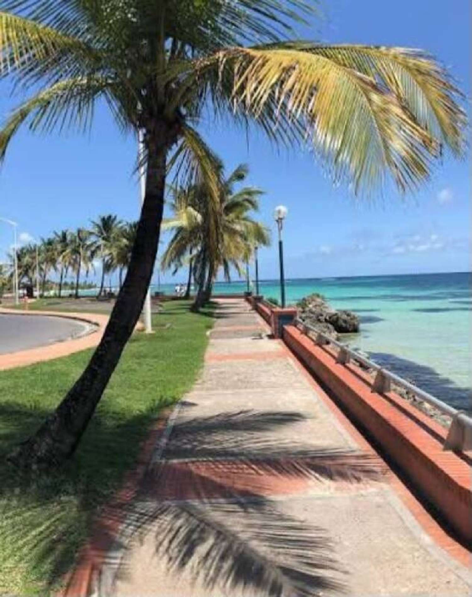 kaufen Gewerbeimmobilie Sainte-Anne Guadeloupe 1