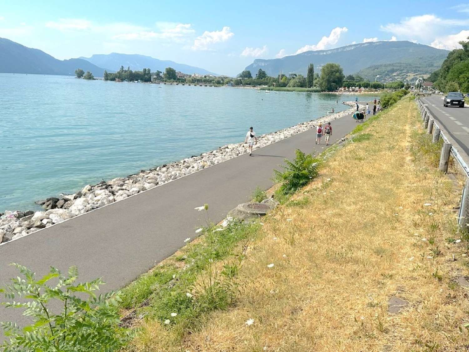  te koop bedrijfsruimte/ kantoor Tresserve Savoie 4