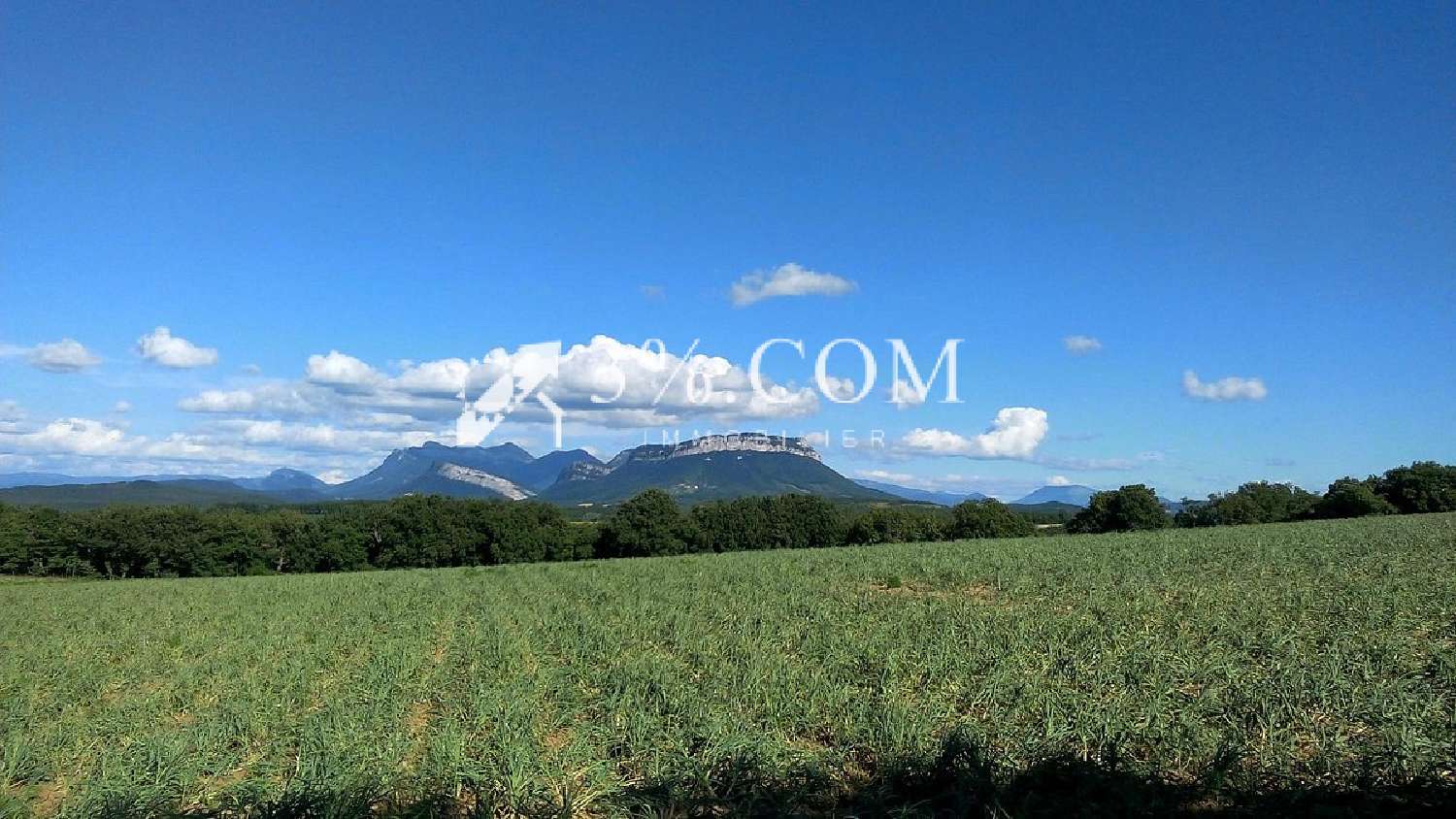 for sale estate Autichamp Drôme 3