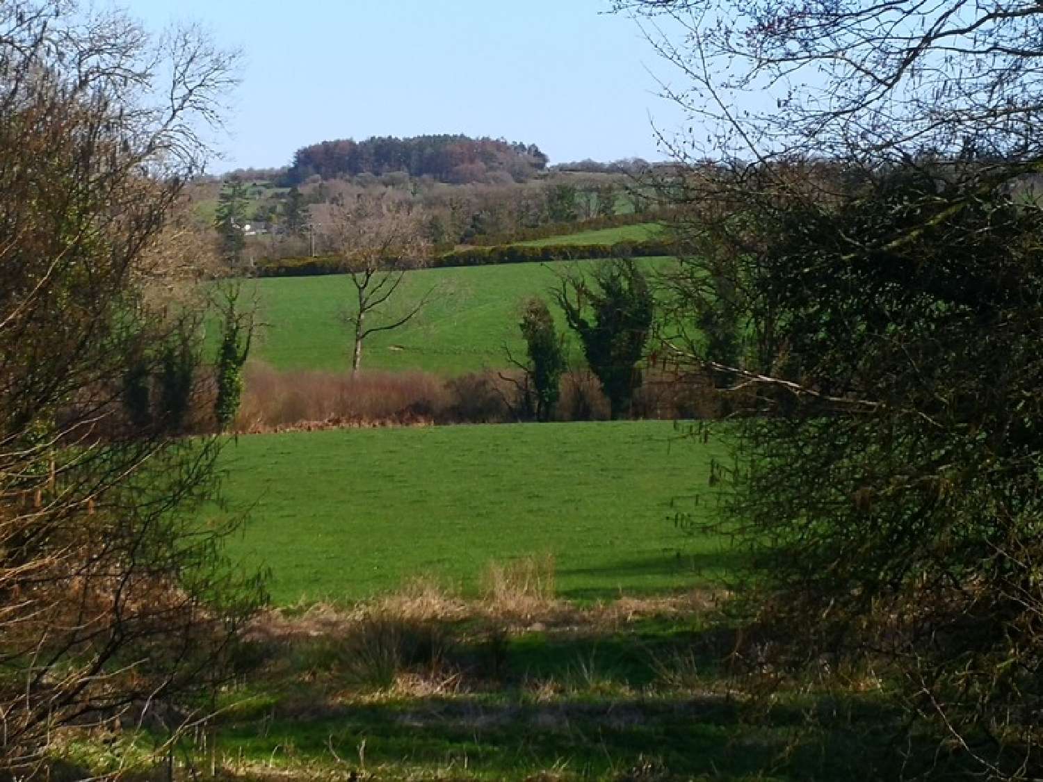  à vendre propriété Callac Côtes-d'Armor 2