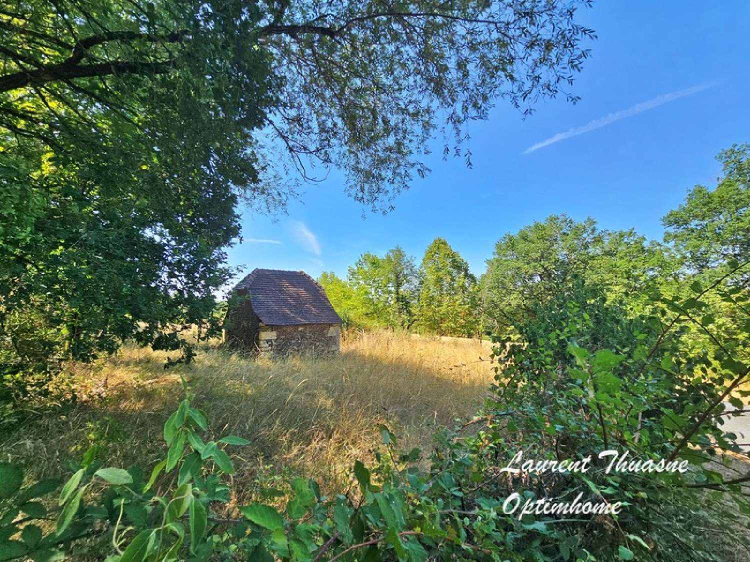  for sale estate Châtres Dordogne 7