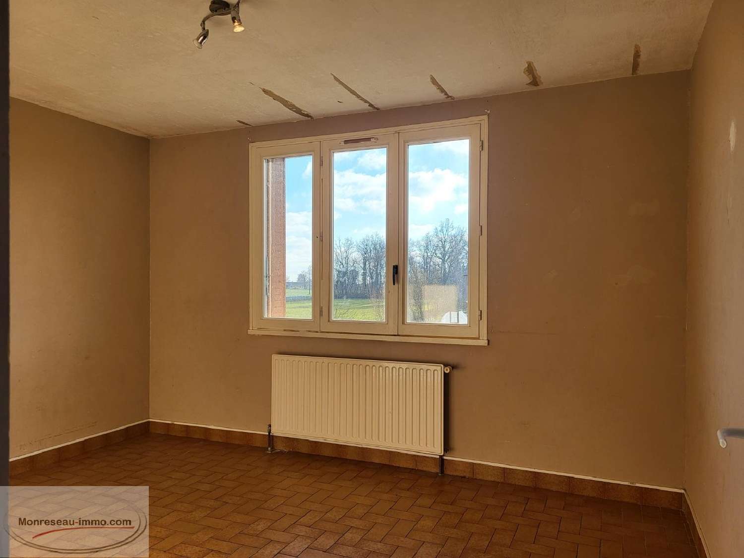 te koop landgoed Chavannes-sur-Reyssouze Ain 7