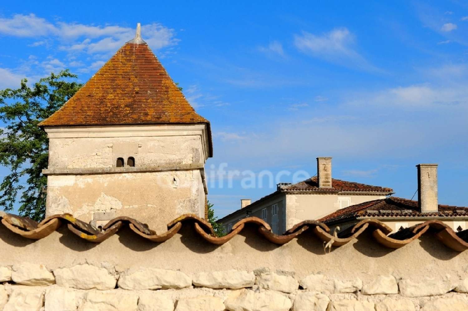  for sale estate Cognac Charente 1