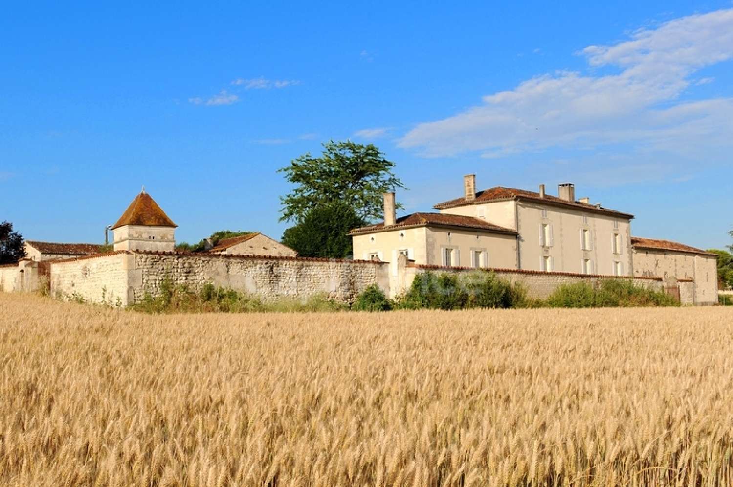  for sale estate Cognac Charente 2