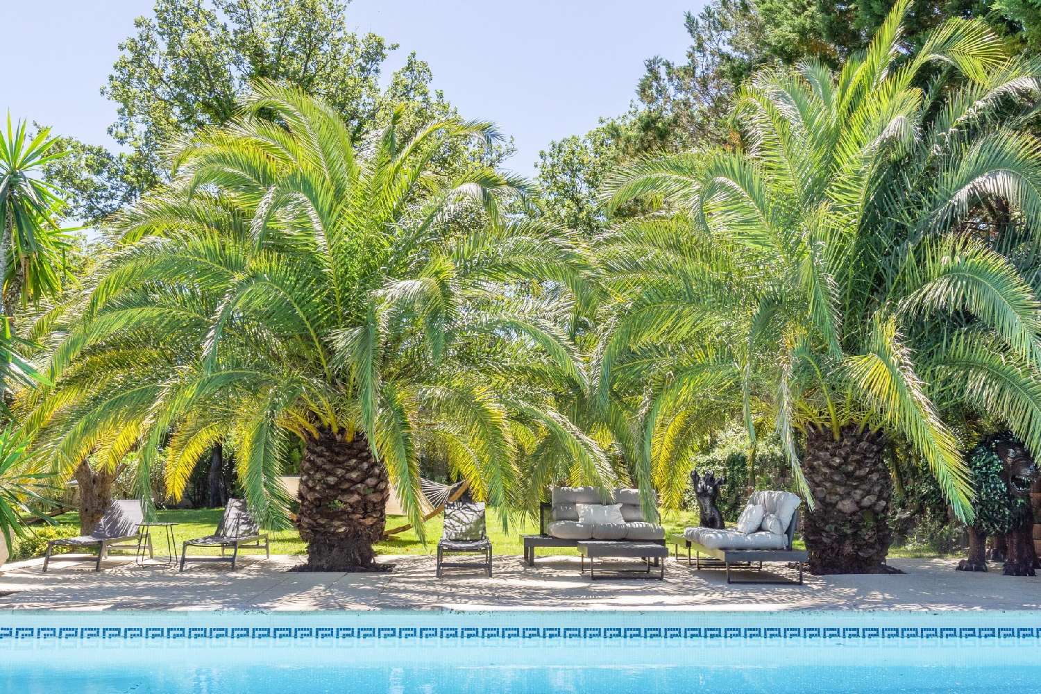  en venta finca rústica Grimaud Var 3
