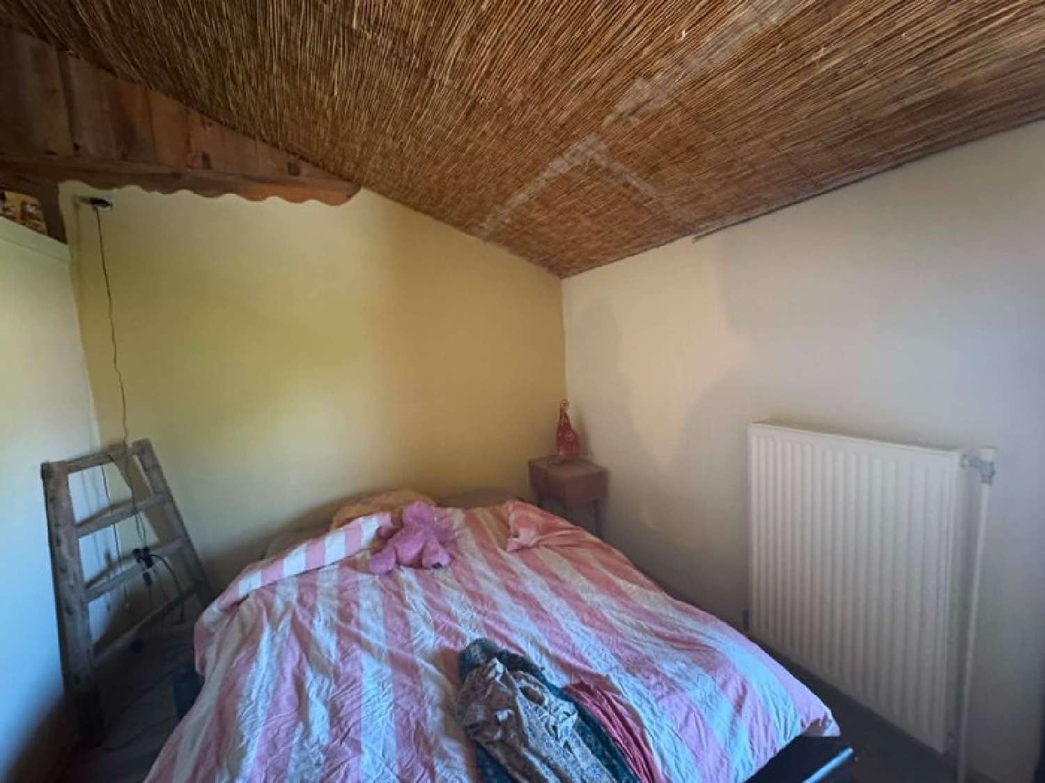 à vendre propriété La Piarre Hautes-Alpes 5