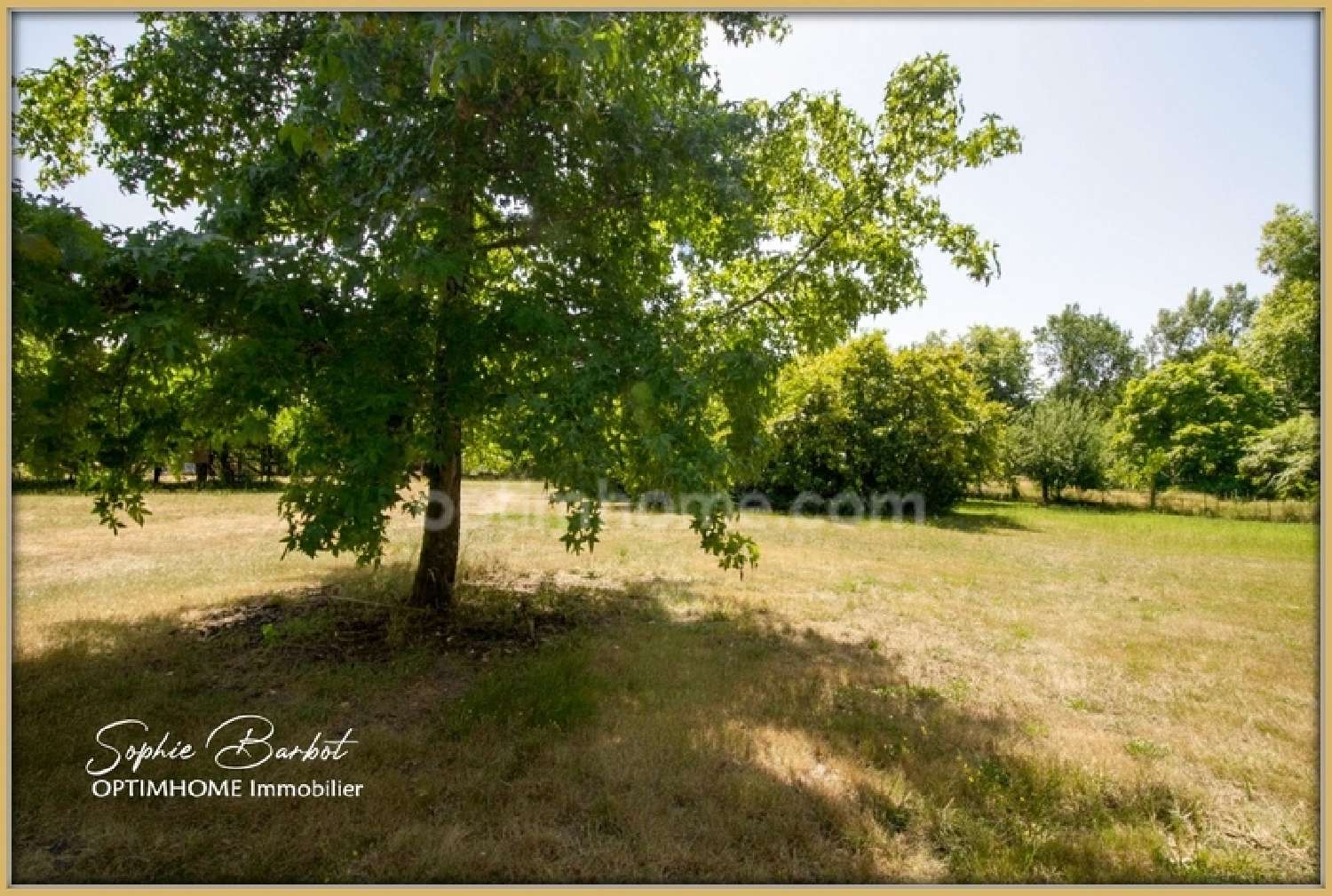 en venta finca rústica Léognan Gironde 2