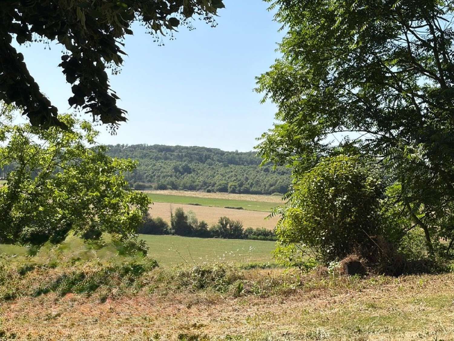 à vendre propriété Marciac Gers 2