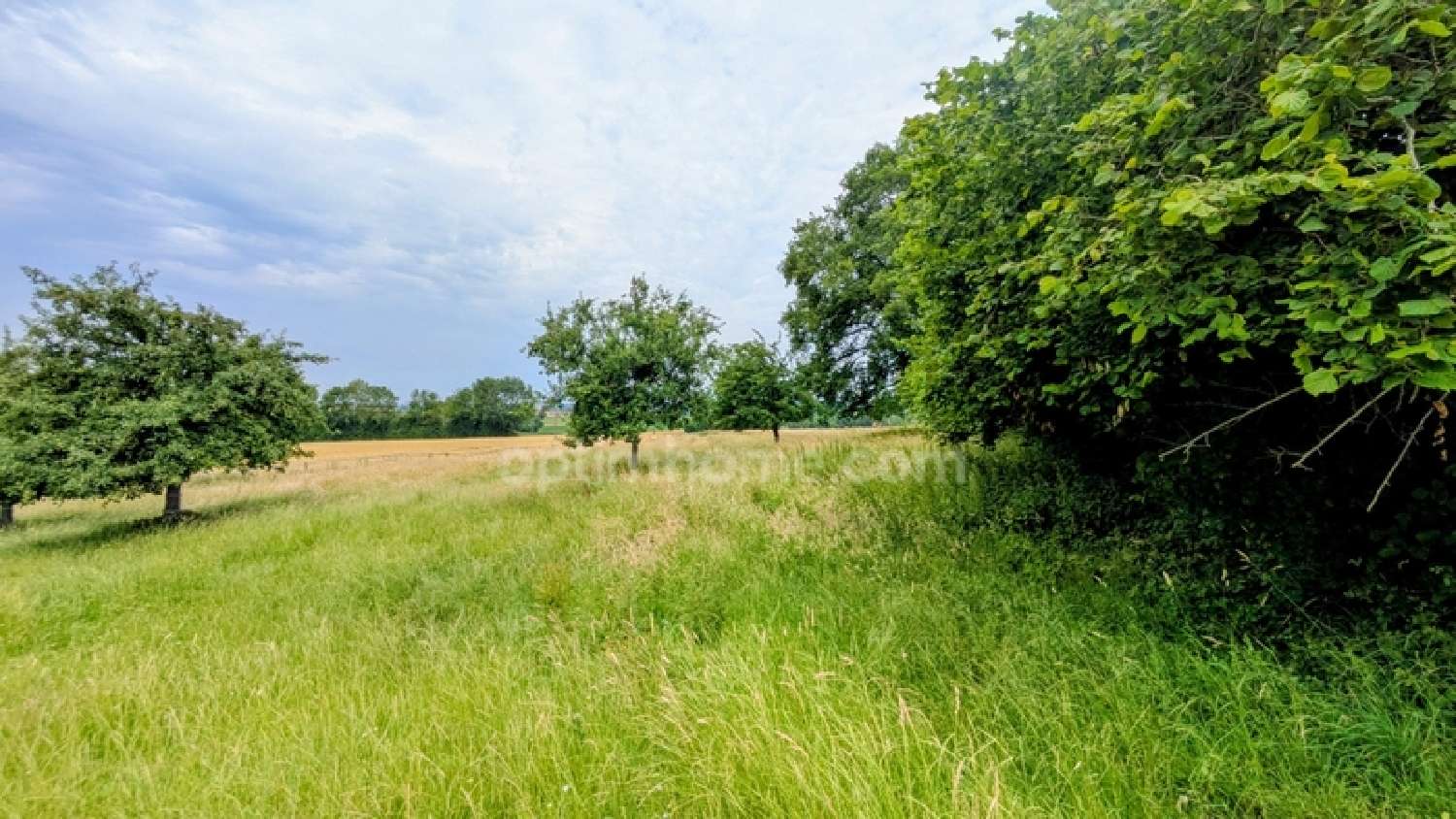  for sale estate Mauves-sur-Huisne Orne 7