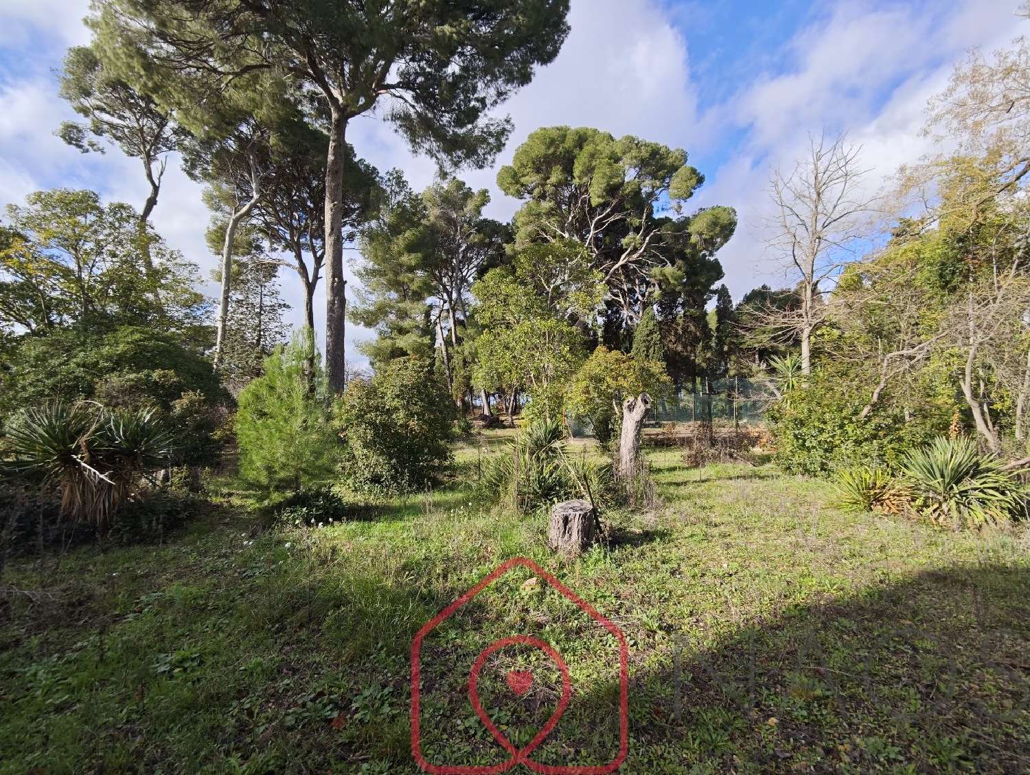 te koop landgoed Narbonne Aude 8