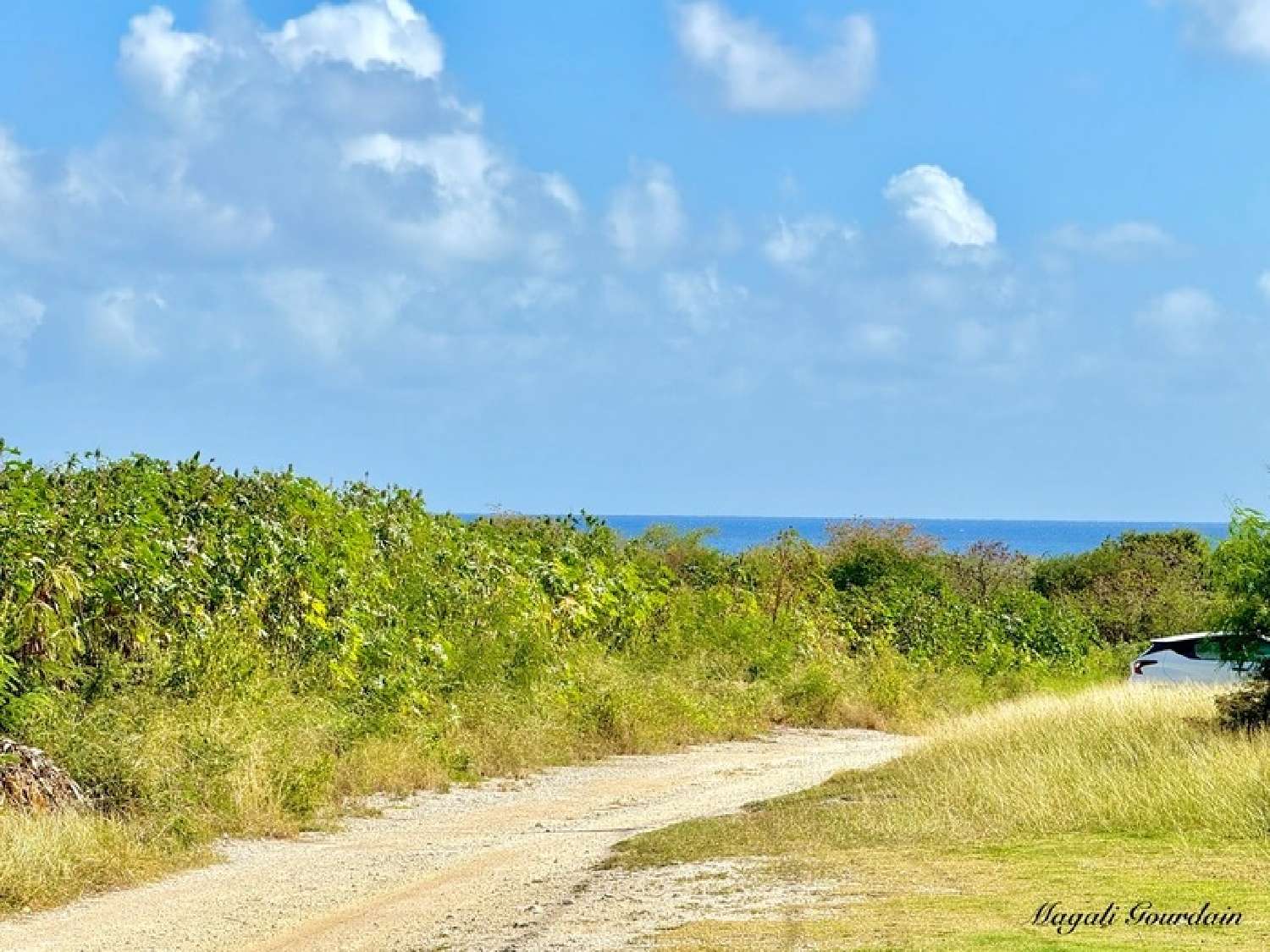 kaufen Landgut Saint-François Guadeloupe 1