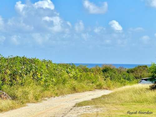 Saint-François Guadeloupe Landgut Bild 7369436