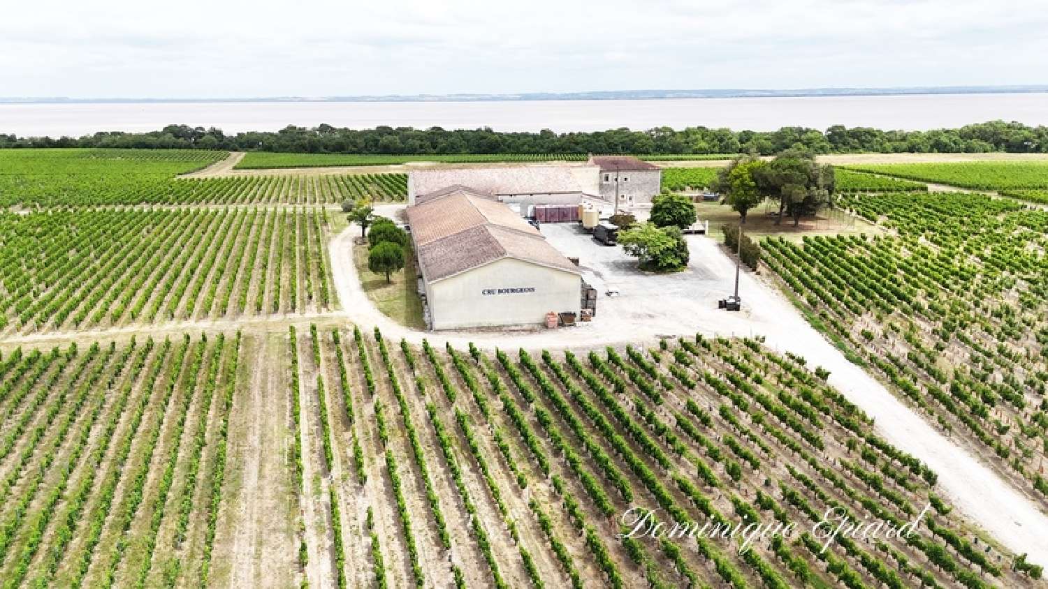 for sale estate Saint-Yzans-de-Médoc Gironde 1