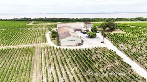 Saint-Yzans-de-Médoc Gironde estate foto 7380911
