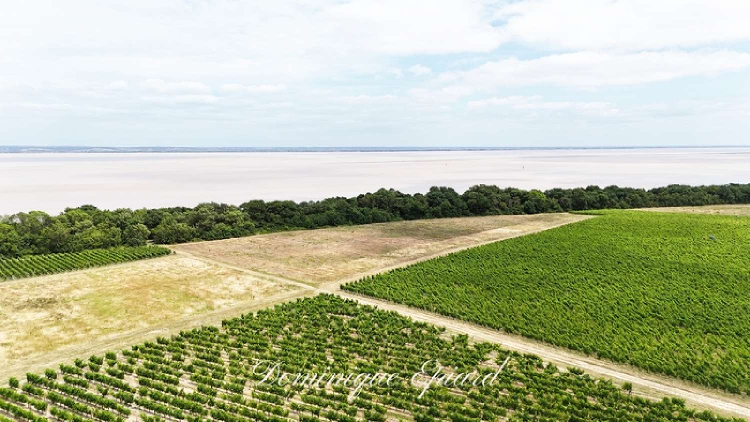 for sale estate Saint-Yzans-de-Médoc Gironde 2