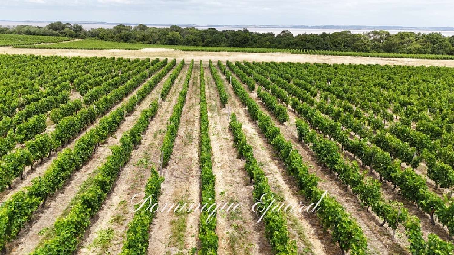 for sale estate Saint-Yzans-de-Médoc Gironde 6