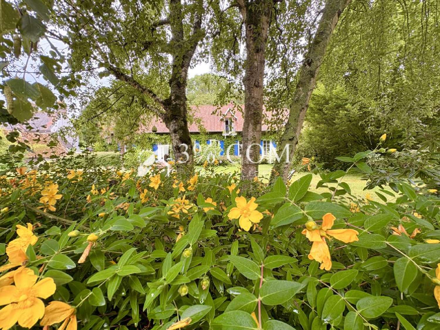  en venta finca rústica Samer Pas-de-Calais 1