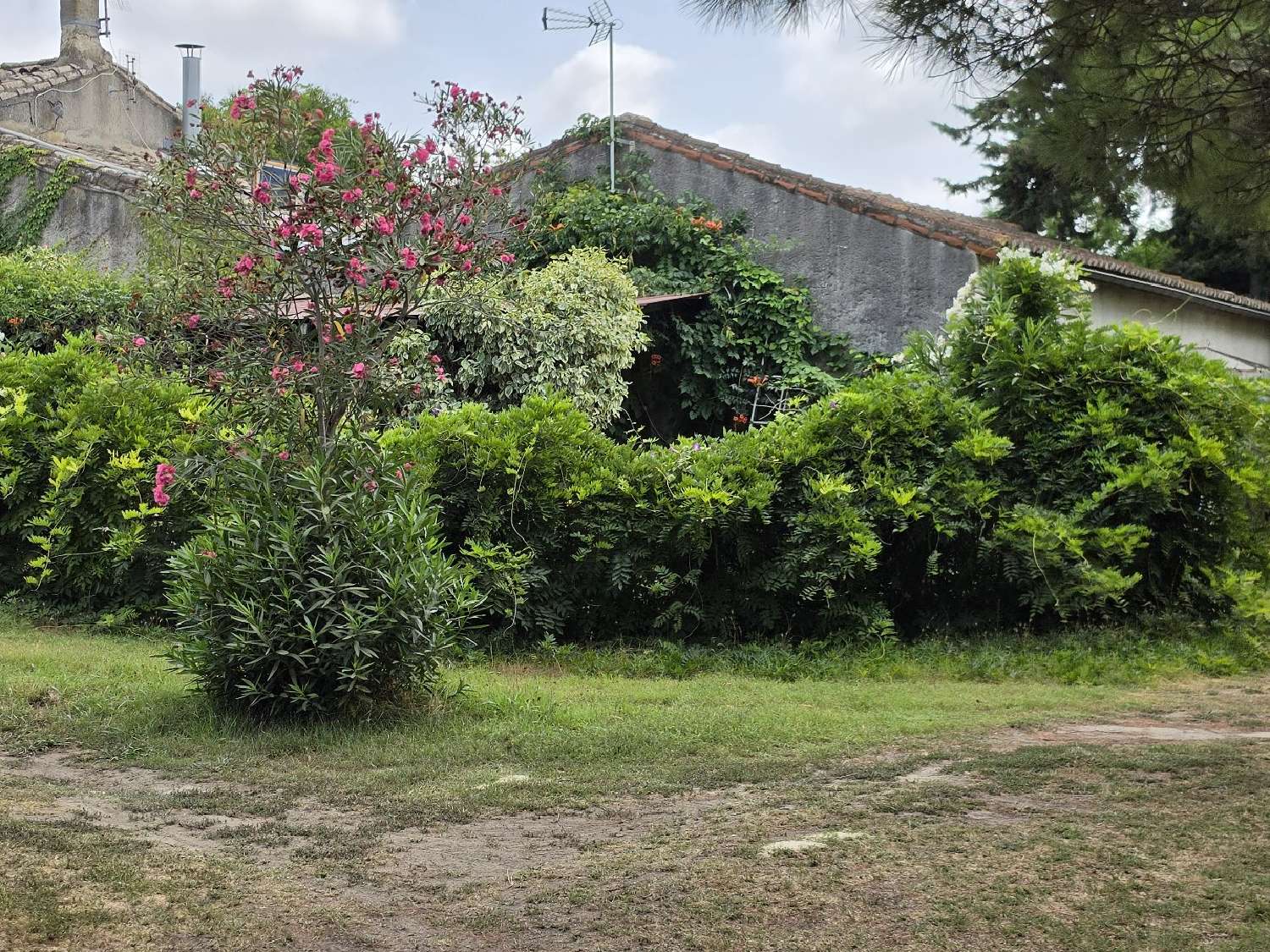  en venta finca rústica Vauvert Gard 3