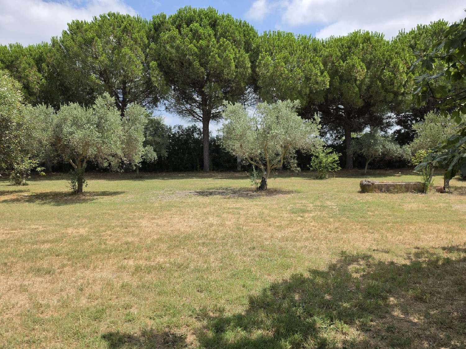  en venta finca rústica Vauvert Gard 4