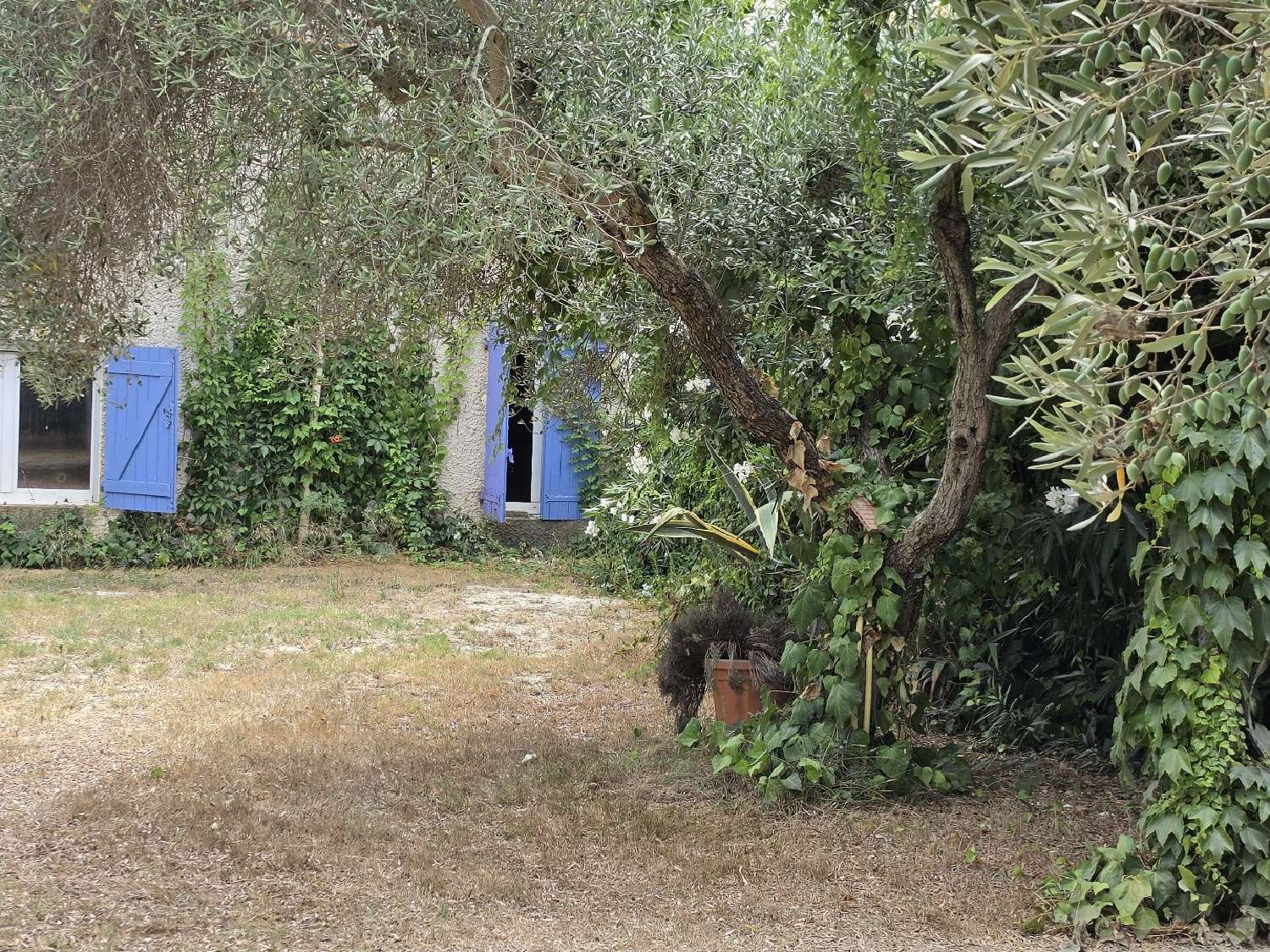  en venta finca rústica Vauvert Gard 6