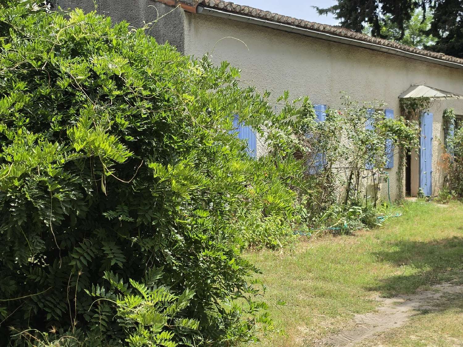  en venta finca rústica Vauvert Gard 7