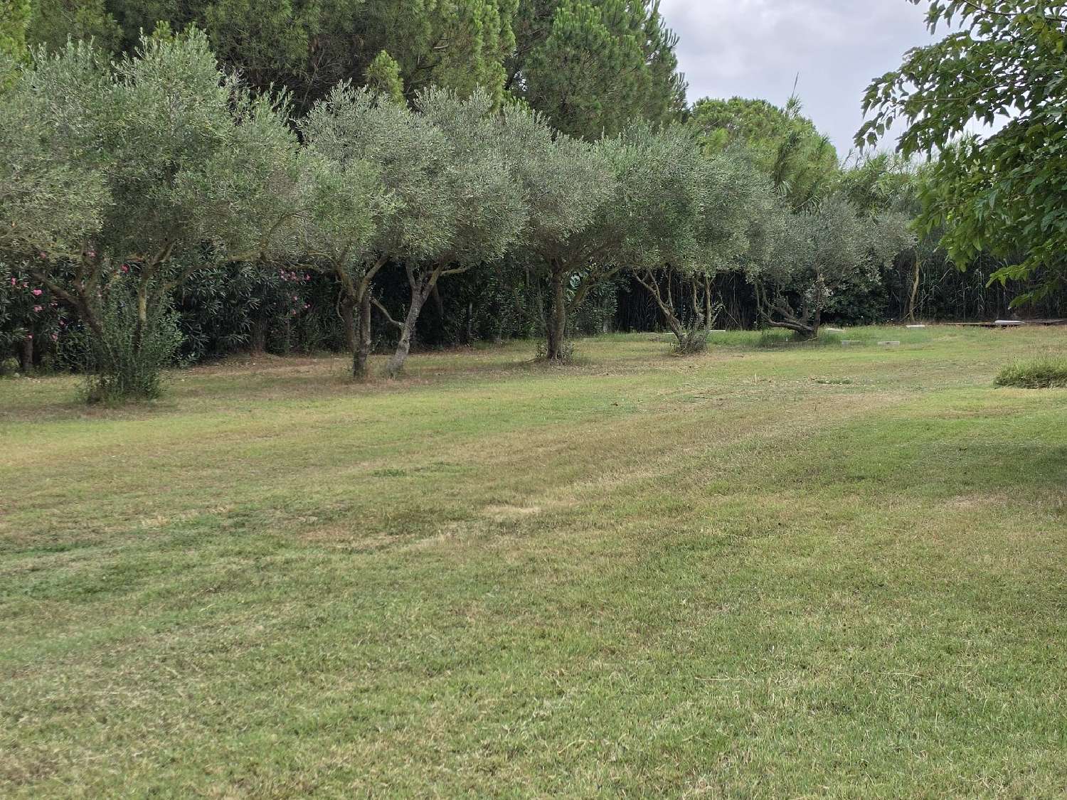  en venta finca rústica Vauvert Gard 8