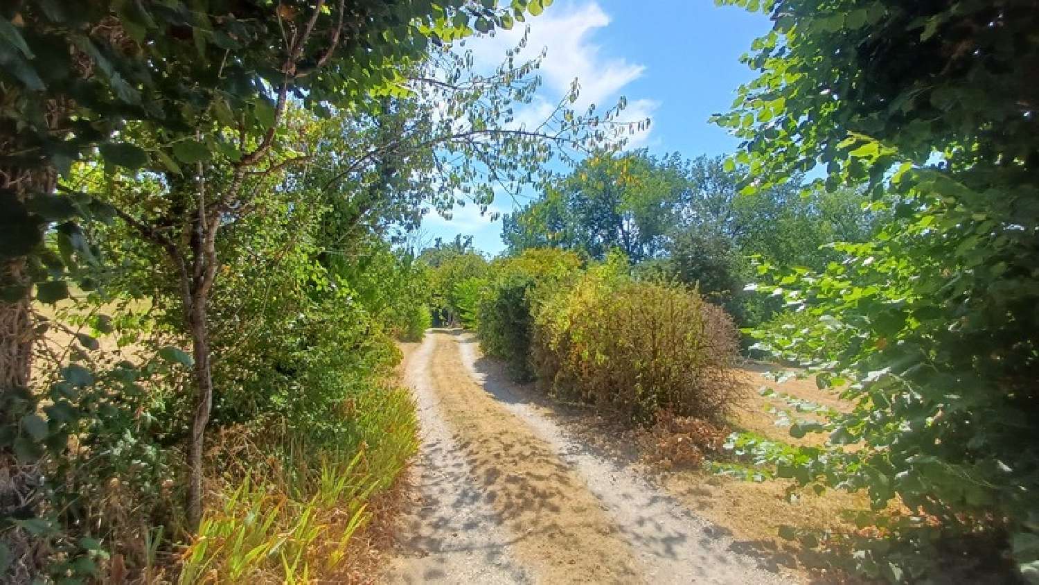  for sale farm Azerat Dordogne 2
