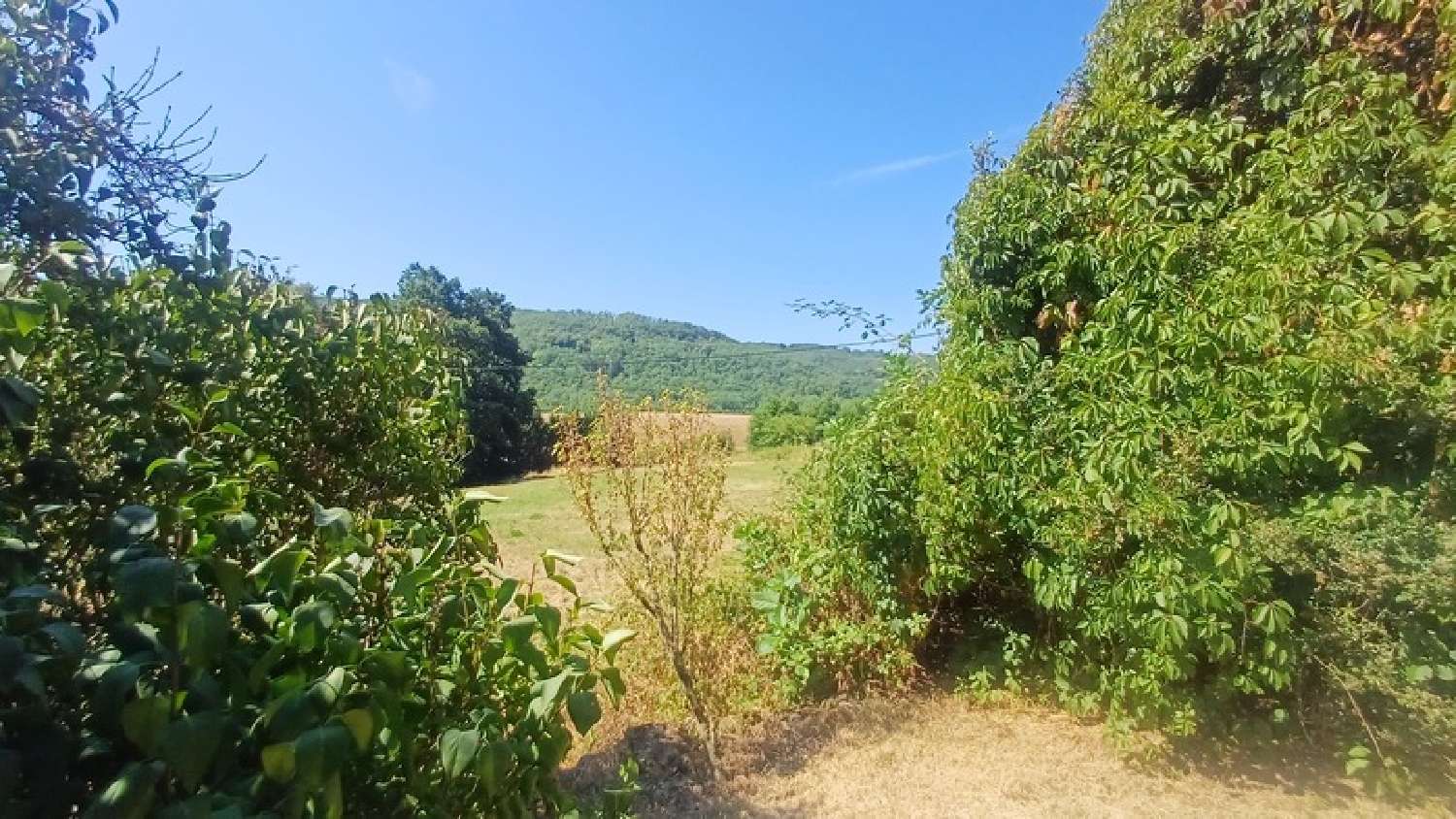  for sale farm Azerat Dordogne 3