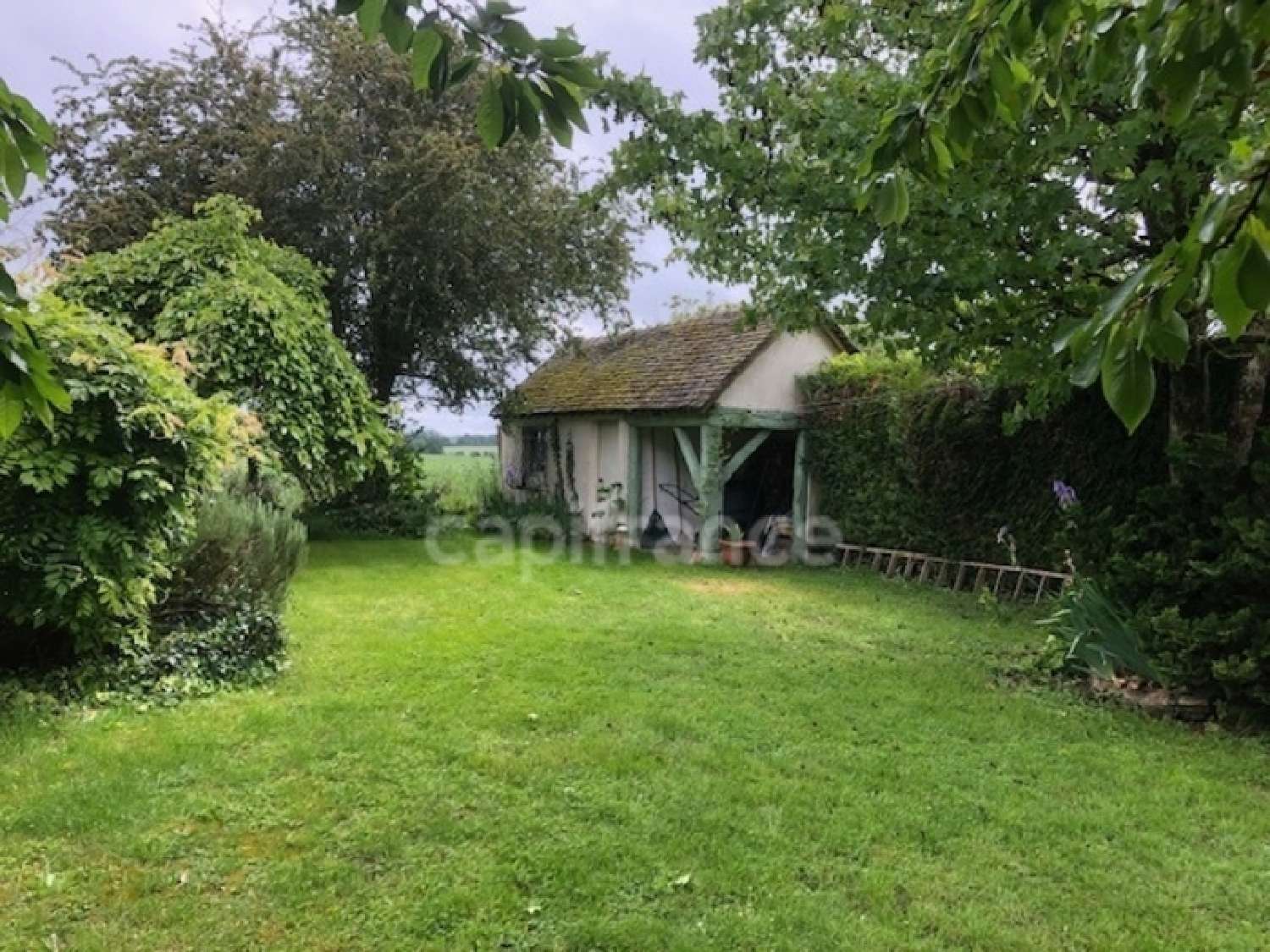 te koop boerderij La Chapelle-Vicomtesse Loir-et-Cher 6