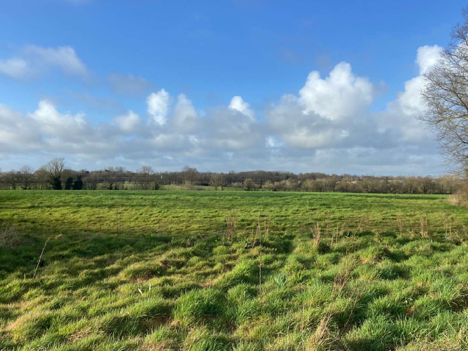 kaufen Bauernhof La Chapelle-Achard Vendée 2